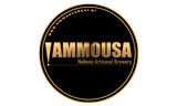 Λογότυπο AMMOUSA BEER