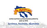 Λογότυπο ΑΡΙΣΤΟΝ 