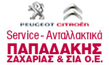 Λογότυπο CITROEN SERVICE - PAPADAKIS ZACHARIAS 