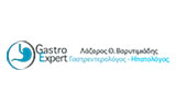 Λογότυπο GASTRO EXPERT - VARYTIMIADIS LAZAROS MD MSc, FEBGH, PhD 