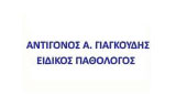 Λογότυπο ΓΙΑΓΚΟΥΔΗΣ Α. ΑΝΤΙΓΟΝΟΣ 