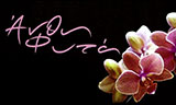 Λογότυπο HAMILOS FLOWERS 