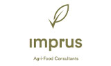 Λογότυπο IMPRUS CONSULTING 