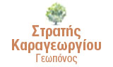 Λογότυπο KARAGEORGIOU EFSTRATIOS 