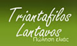 Λογότυπο LANTAVOS TRIANTAFYLLOS 