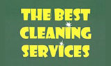 Λογότυπο LIDA - THE BEST CLEANING SERVICES 