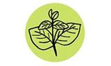 Λογότυπο MOUNTAIN HERBS - MANOLIA 