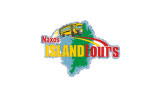 Λογότυπο NAXOS ISLAND TOURS 