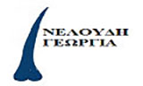 Λογότυπο NELOUDI GEORGIA 