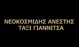 Λογότυπο NEOKOSMIDIS ANESTIS 