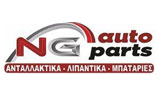 Λογότυπο NG AUTO PARTS - ΝΤΟΤΣΙΚΑΣ ΓΕΩΡΓΙΟΣ 