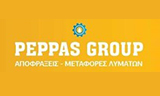 Λογότυπο PEPPAS GROUP