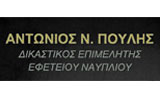 Λογότυπο ΠΟΥΛΗΣ Ν. ΑΝΤΩΝΙΟΣ 