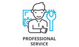 Λογότυπο PROFESSIONAL SERVICE 