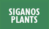 Λογότυπο SIGANOS NIKOLAOS - SIGANOS PLANTS 