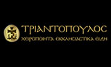 Λογότυπο TRIANTOPOULOS V. GEORGIOS 