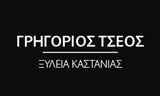 Λογότυπο TSEOS GRIGORIOS 