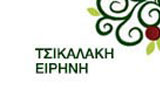 Λογότυπο TSIKALAKI I. EIRINI 