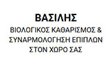 Λογότυπο VASILIS