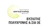 Λογότυπο VYZIOTIS POLYCHRONIS & SIA OE 