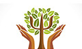 Logo AGATHOU ELISAVET
