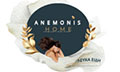 Logo ANEMONIS HOME
