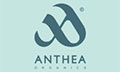 Logo ANTHEA ORGANICS