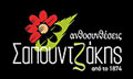 Logo ANTHI SAPOUNTZAKIS