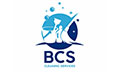 Logo BCS CLEANING SERVICE