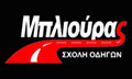 Logo BLIOURAS THEMIS