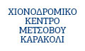 Logo CHIONODROMIKO KENTRO METSOVOU KARAKOLI