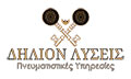 Logo DILION LYSEIS