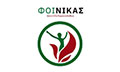 Logo FOINIKAS - GKOTSIS EFTHYMIOS MD, MSc, PhDc
