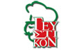 Logo GEFSTIKON