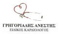 Logo GRIGORIADIS ANESTIS