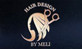 Logo HAIR DESIGN BY MELI