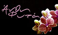Logo HAMILOS FLOWERS