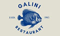 Logo I GALINI