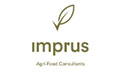 Logo IMPRUS CONSULTING