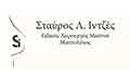 Logo INTZES L. STAVROS