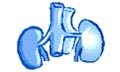 Logo KOKKALIS APOSTOLOS