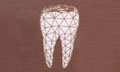 Logo LANARA RODOPI