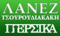 Λογότυπο ΛΑΝΕΖ ΤΣΟΥΡΟΥΔΙΑΚΑΚΗΣ