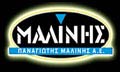 Logo MALINIS PANAGIOTIS AE