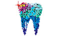 Logo MEGAS F. VASILEIOS - MEGAS V. LAMPROS