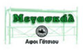 Logo MEGASKAL