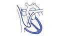 Logo MOSCHOS M. GEORGIOS