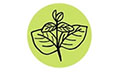 Logo MOUNTAIN HERBS - MANOLIA