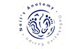 Λογότυπο NAIL'S ANATOMY - ΠΟΔΟΛΟΓΙΚΟ ΚΕΝΤΡΟ