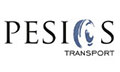 Logo PESIOS D. METAFORIKI MONOPROSOPI IKE